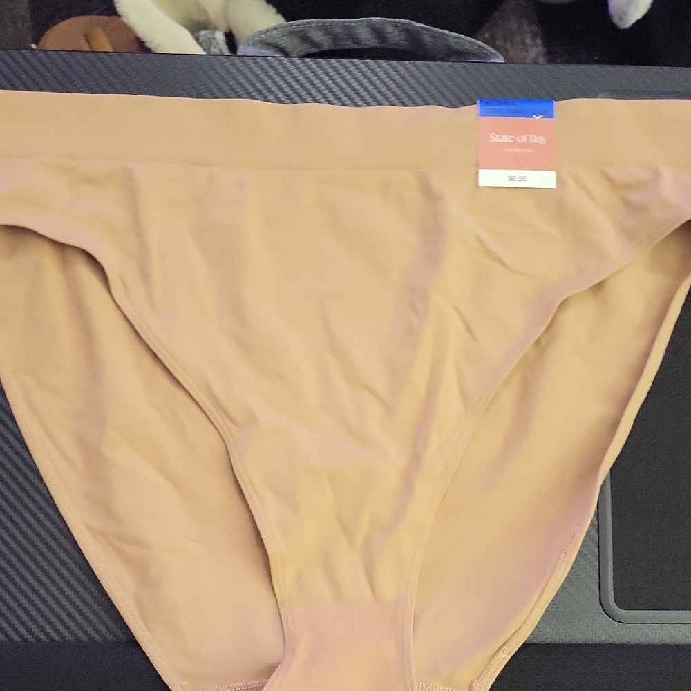 NWT State of Day Tawny Brown Panty Brief XL‎